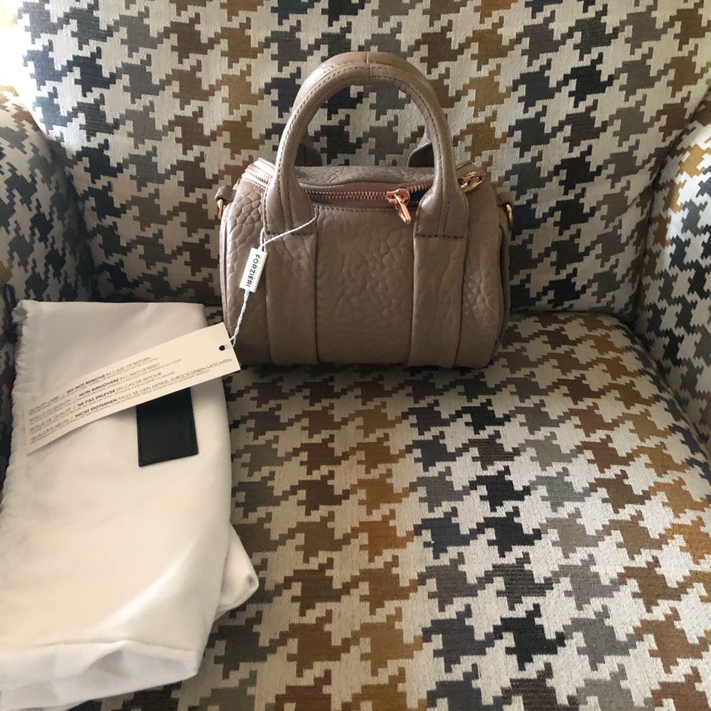Alexander wang mini Rockie